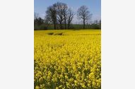 Urlaub Rabenholz Ferienwohnung 145731 privat