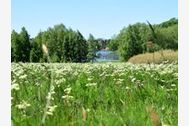 Urlaub Stiege Ferienwohnung 145901 privat