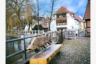 Urlaub Ferienhaus Ferienhaus am Mühlenteich