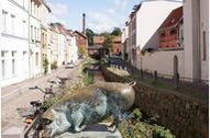 Urlaub Wismar Ferienwohnung 146485 privat
