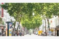 Urlaub Karlsruhe Ferienwohnung 146647 privat