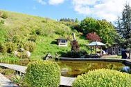 Urlaub Sellin OT Seedorf Ferienwohnung 147005 privat