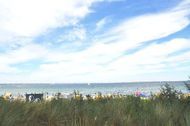 Urlaub Niendorf/Ostsee Ferienwohnung 148063 privat