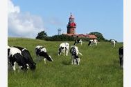 Urlaub Ferienwohnung Kleinis Ferienhof Hohen Niendorf bei Ostseebad Kühlungsborn