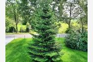 Urlaub Hesel-Beningafehn Ferienhaus 148624 privat