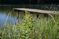 Urlaub Rimsting Ferienhaus 148743 privat