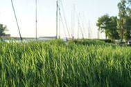 Urlaub Mönkebude Ferienwohnung 149174 privat