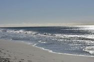 Urlaub Sylt/Westerland Ferienwohnung 149460 privat