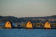 Urlaub Mönchgut OT Thiessow (Ostseebad) Ferienwohnung 149822 privat