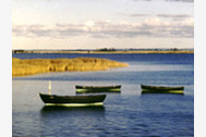 Urlaub Ferienwohnung Rügen-Fewo 185