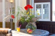 Urlaub Ahlbeck (Seebad) Ferienwohnung 152782 privat