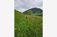Urlaub Nauders am Reschenpass Apartment 152837 privat