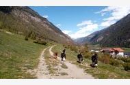 Urlaub Pfunds Ferienwohnung 153753 privat