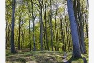  Unterkunft Objektbild