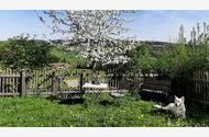 Urlaub Oberwang bei Mondsee Ferienwohnung 154779 privat