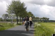 Urlaub Bunde Ferienwohnung 154947 privat