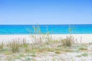 Urlaub Budoni Ferienhaus 155439 privat