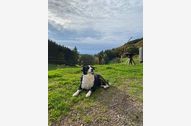 Urlaub Schuttertal-Schweighausen Ferienwohnung 155966 privat