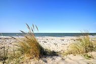 Urlaub Fehmarn Ferienhaus 156035 privat
