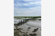 Urlaub Friedrichskoog-Spitze Ferienhaus 156239 privat