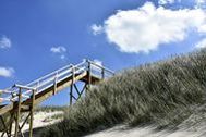 Urlaub Sylt/Westerland Ferienwohnung 156462 privat