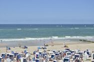 Urlaub Sylt/Westerland Ferienwohnung 156465 privat