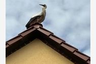 Urlaub Zahna-Elster OT Mühlanger Pension-Gästehaus 156531 privat