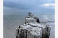 Urlaub Zingst (Ostseeheilbad) Ferienwohnung 156922 privat