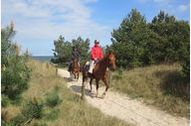 Urlaub Mölschow OT Bannemin Ferienwohnung 156951 privat