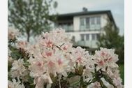 Urlaub Garz/Usedom Ferienwohnung 157241 privat