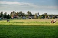 Urlaub Mönkebude Ferienhaus 157288 privat
