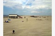Urlaub St. Peter-Ording Ferienwohnung 157507 privat