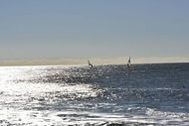 Urlaub Sylt/Westerland Ferienwohnung 158294 privat