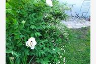 Urlaub Bermatingen Ferienzimmer-Privatzimmer 158327 privat