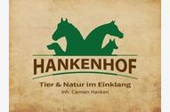 Urlaub Ferienwohnung Ferienwohnungen HANKENHOF und TAMME`s Home 55169