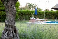 Urlaub Isola di Albarella Apartment 159123 privat