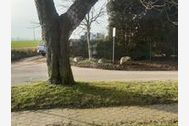 Urlaub Wolgast OT Schalense Ferienwohnung 159147 privat