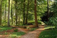 Urlaub Tribsees OT Landsdorf Hotel 159210 privat
