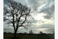 Urlaub Sassnitz auf Rügen Ferienwohnung 159263 privat