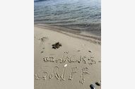 Urlaub Glücksburg (Ostsee) Ferienwohnung 160038 privat
