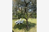 Urlaub Isola di Albarella Apartment 160433 privat
