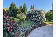 Urlaub Walkenried OT Zorge Ferienwohnung 160700 privat