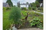 Urlaub Barßel Ferienwohnung 161405 privat