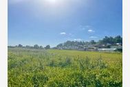 Urlaub Salem Ferienhaus 161514 privat