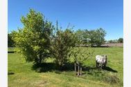 Urlaub Uplengen Ferienhaus 163007 privat