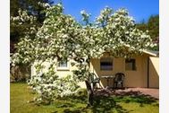 Urlaub Kölpinsee/Usedom Ferienwohnung 163215 privat