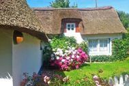 Urlaub Goting Ferienhaus 163248 privat
