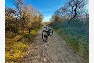 Urlaub Zinnowitz (Seebad) Ferienwohnung 163449 privat