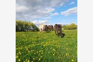 Urlaub Carinerland OT Ravensberg Ferienwohnpark 163521 privat