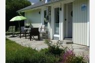 Urlaub Ferienhaus Ferienhaus Lachmöwe